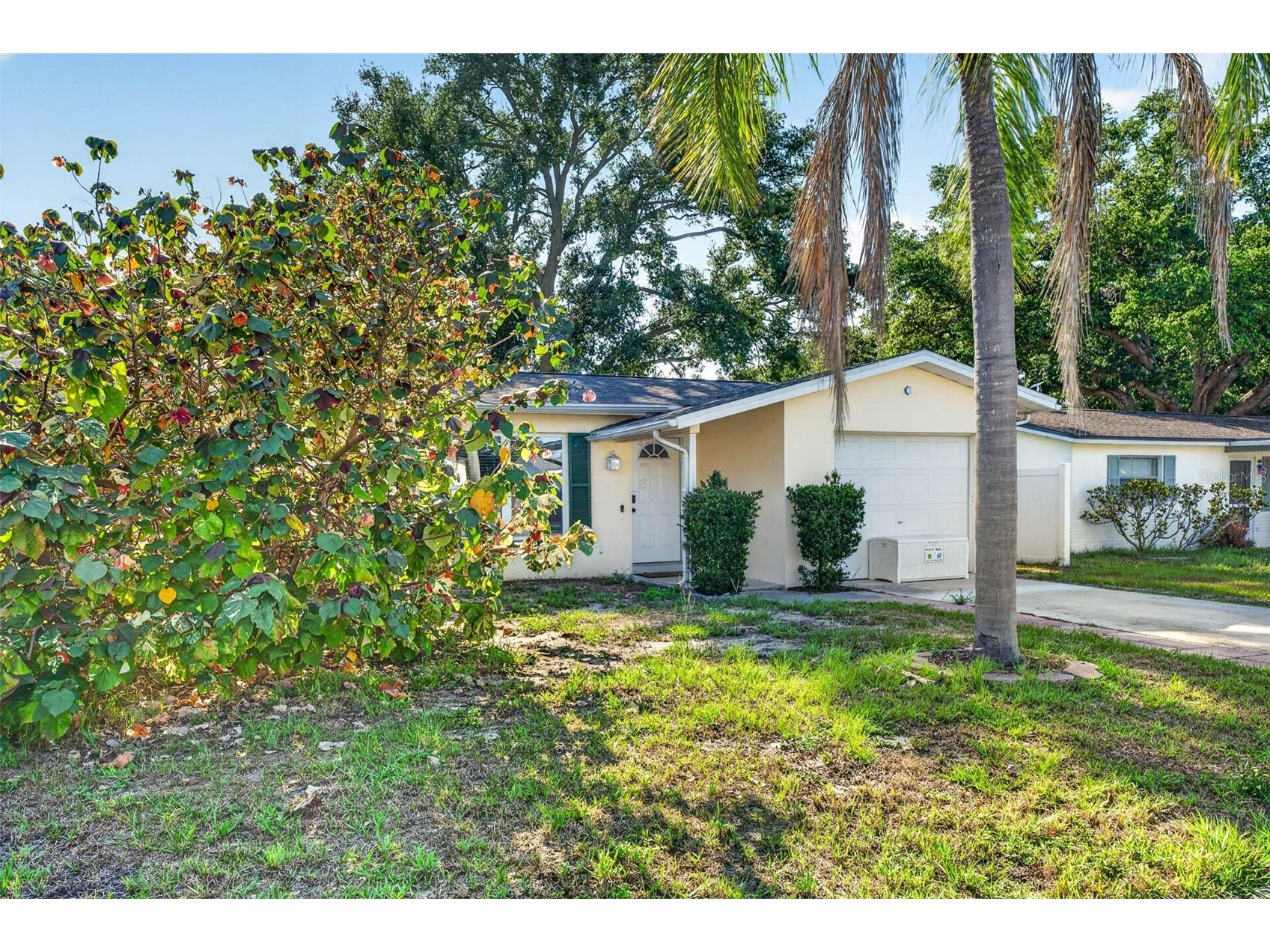 2220 Lauren Drive Largo FL 33774 TB8511649 image5