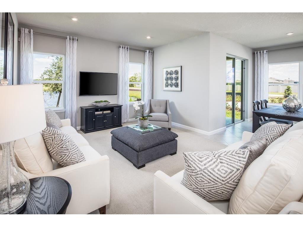 2220 Scenic Park Loop Wimauma FL 33598 W7879530 image10