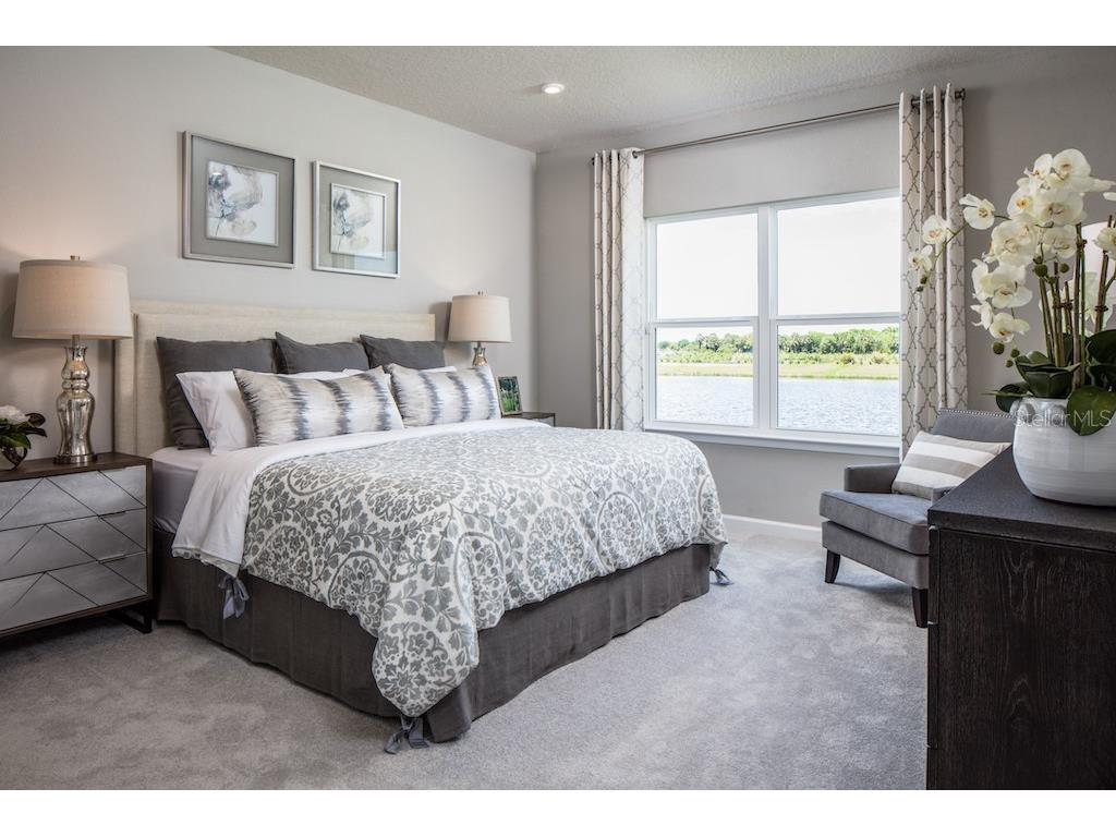 2220 Scenic Park Loop Wimauma FL 33598 W7879530 image11