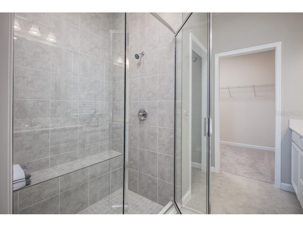 2220 Scenic Park Loop Wimauma FL 33598 W7879530 image14