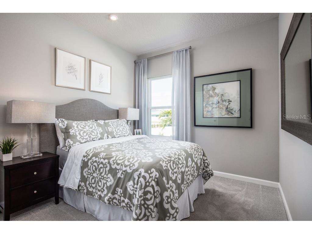 2220 Scenic Park Loop Wimauma FL 33598 W7879530 image17