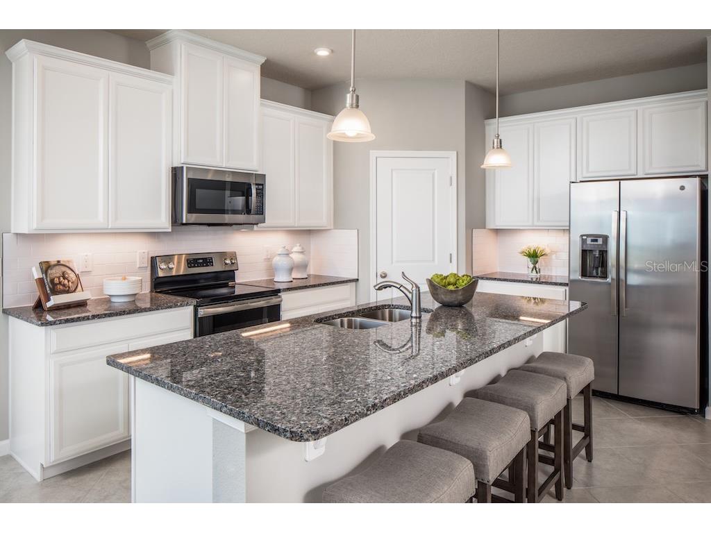 2220 Scenic Park Loop Wimauma FL 33598 W7879530 image5