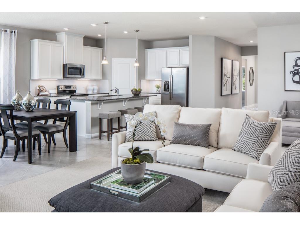 2220 Scenic Park Loop Wimauma FL 33598 W7879530 image8