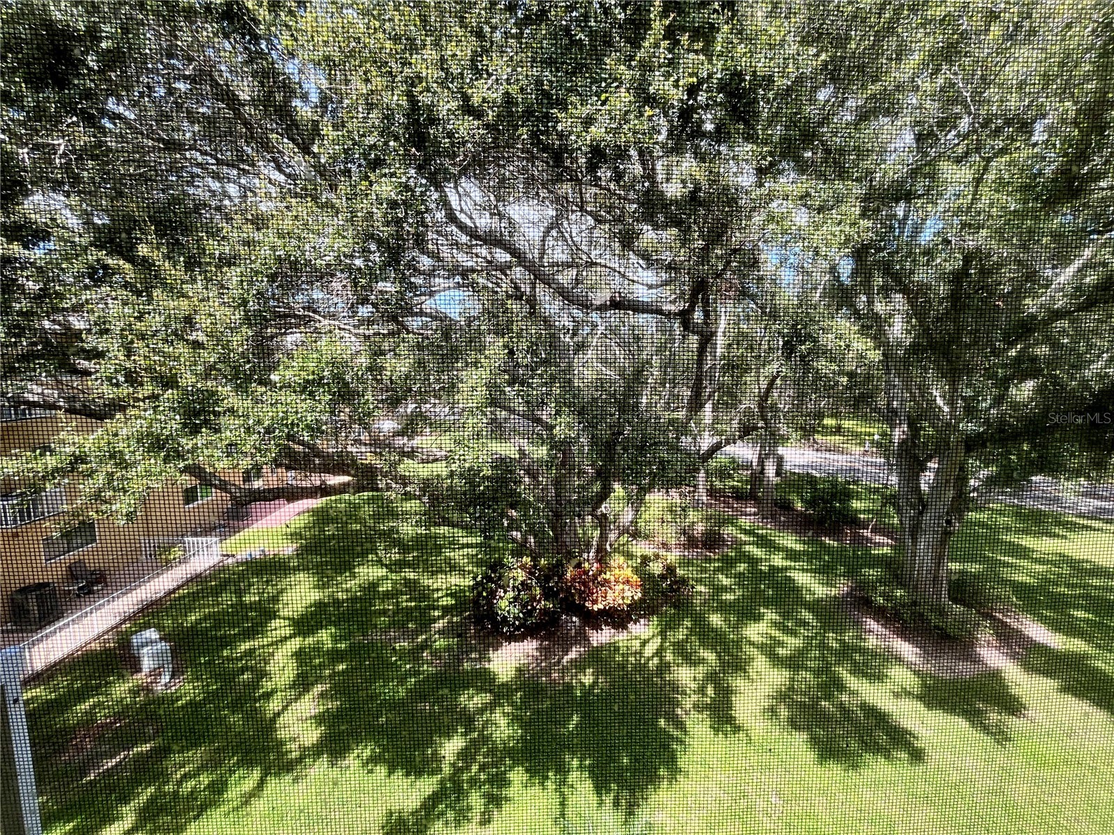 2220 Spanish Drive #54 Clearwater FL 33763 TB8499807 image18