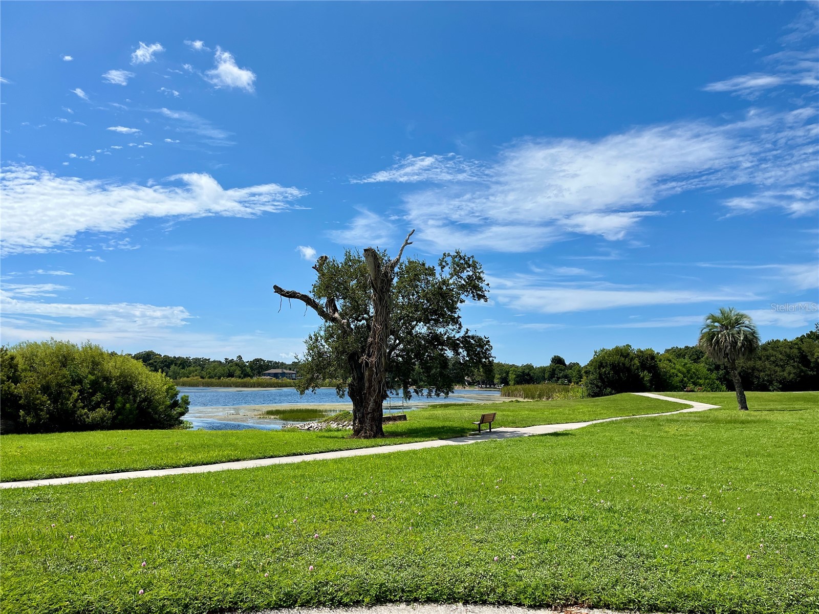 2220 Spanish Drive #54 Clearwater FL 33763 TB8499807 image32