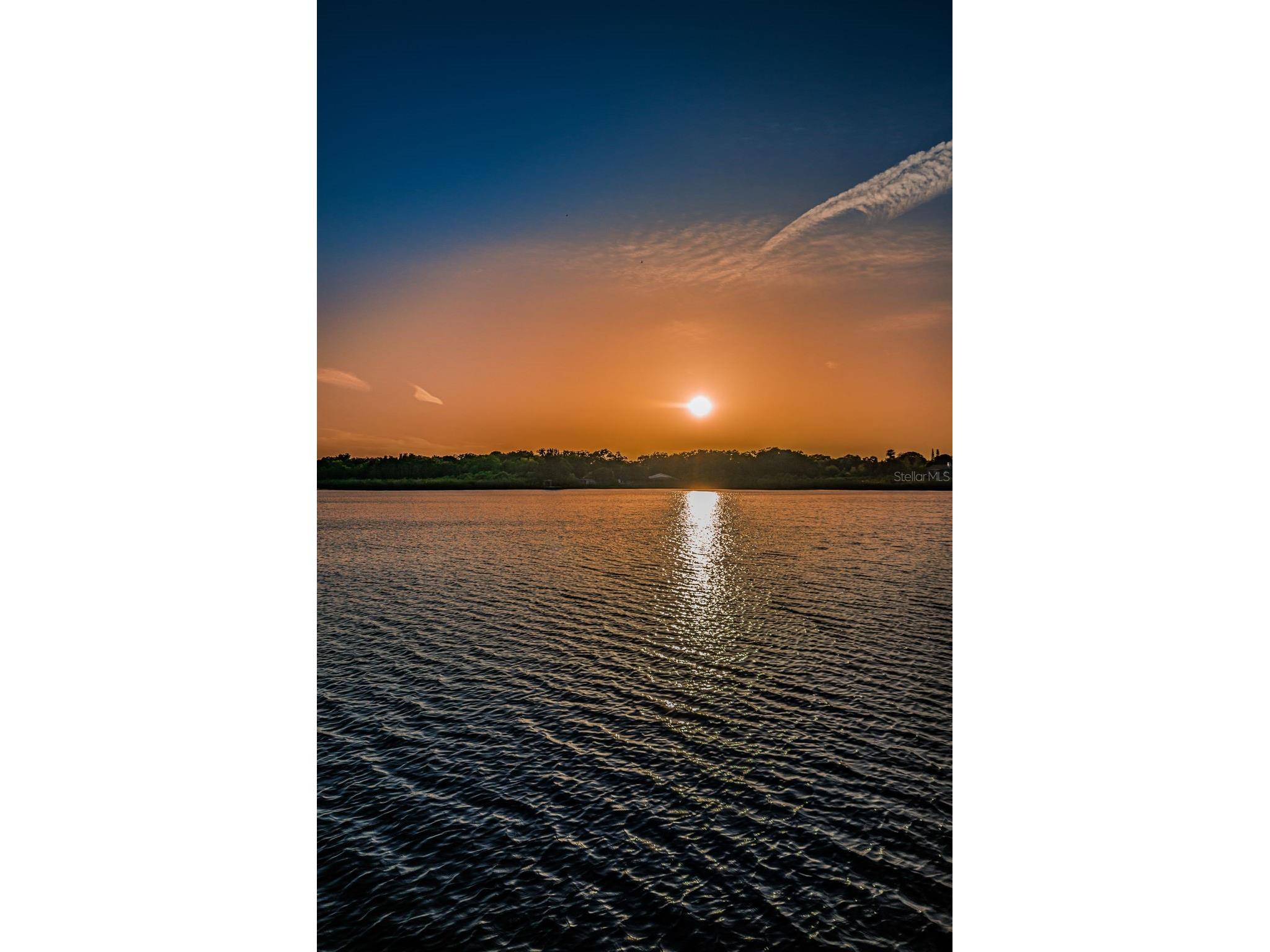 2220 Swedish Drive #36 Clearwater FL 33763 TB8489179 image63