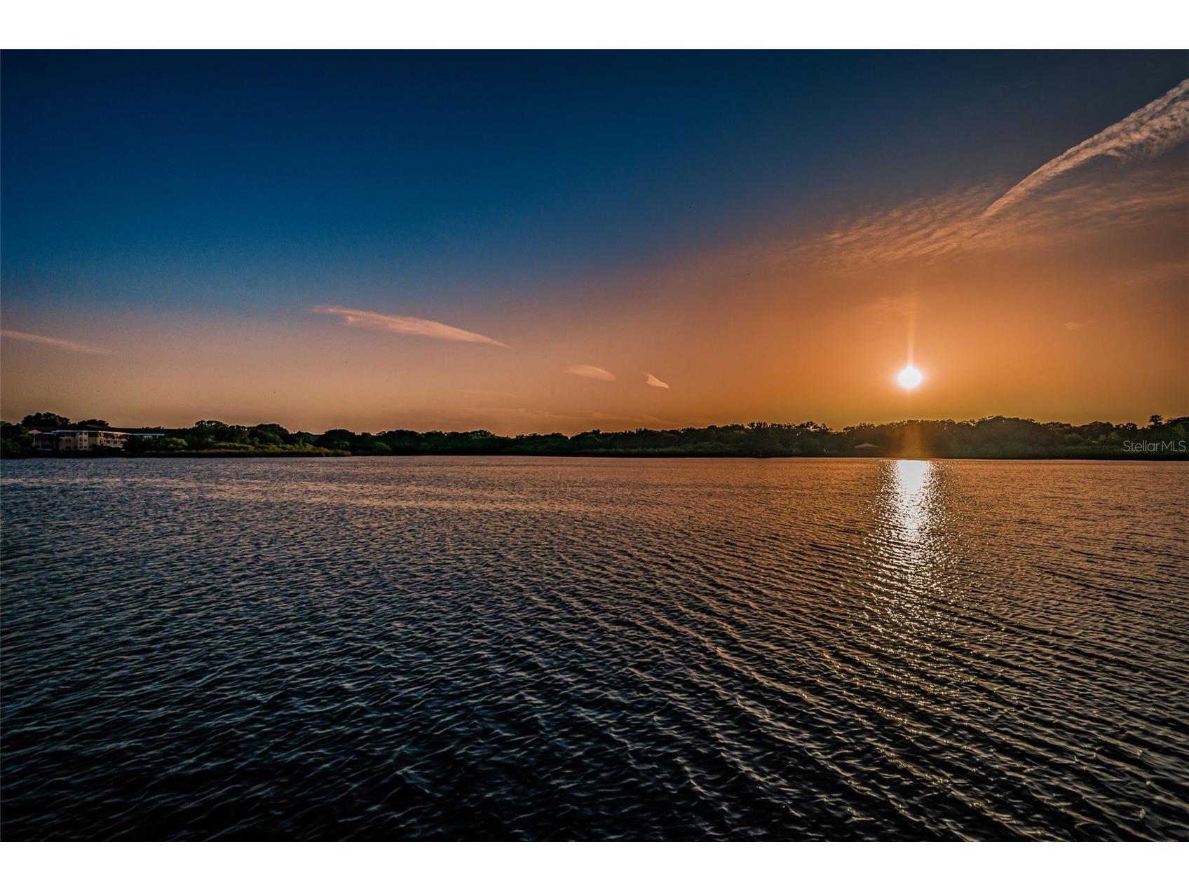 2220 Swedish Drive #56 Clearwater FL 33763 TB8472270 image61