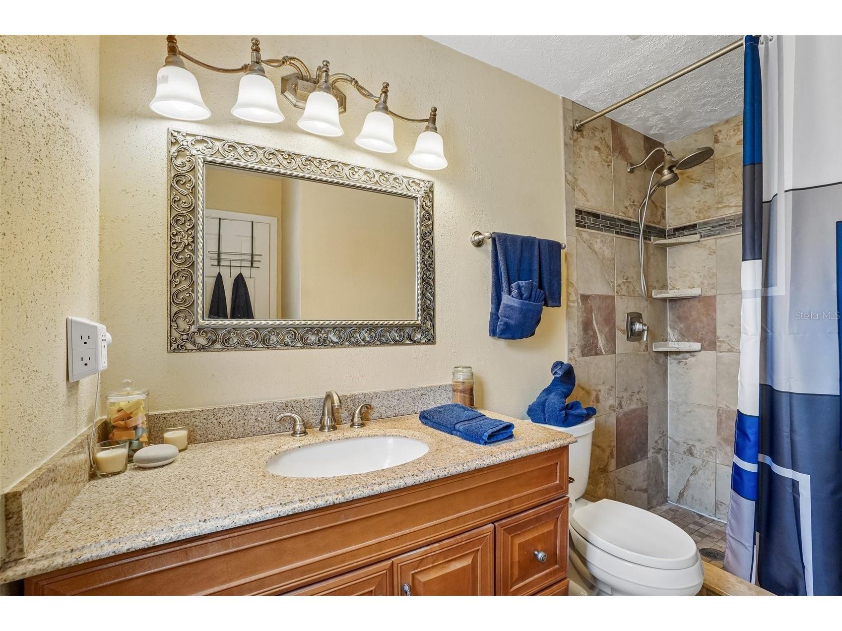 2220 Whitney Place Valrico FL 33594 TB8509356 image19
