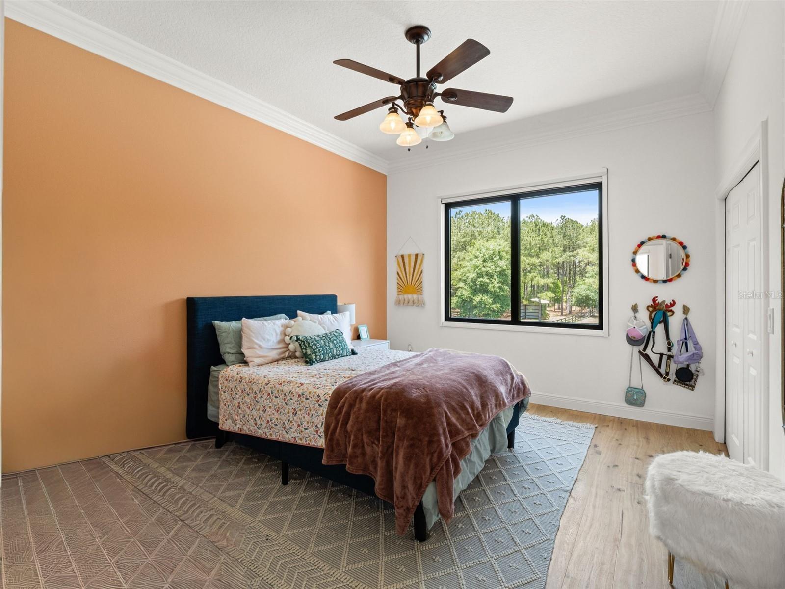 22201 Wise Owl Road Brooksville FL 34602 W7885902 image34