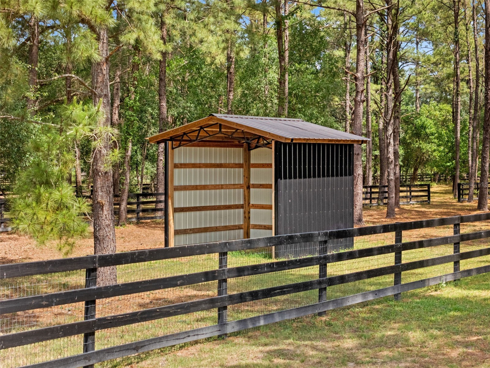 22201 Wise Owl Road Brooksville FL 34602 W7885902 image55