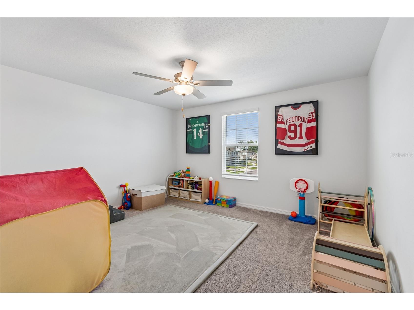22203 Calisto Way Land O Lakes FL 34637 TB8513575 image16