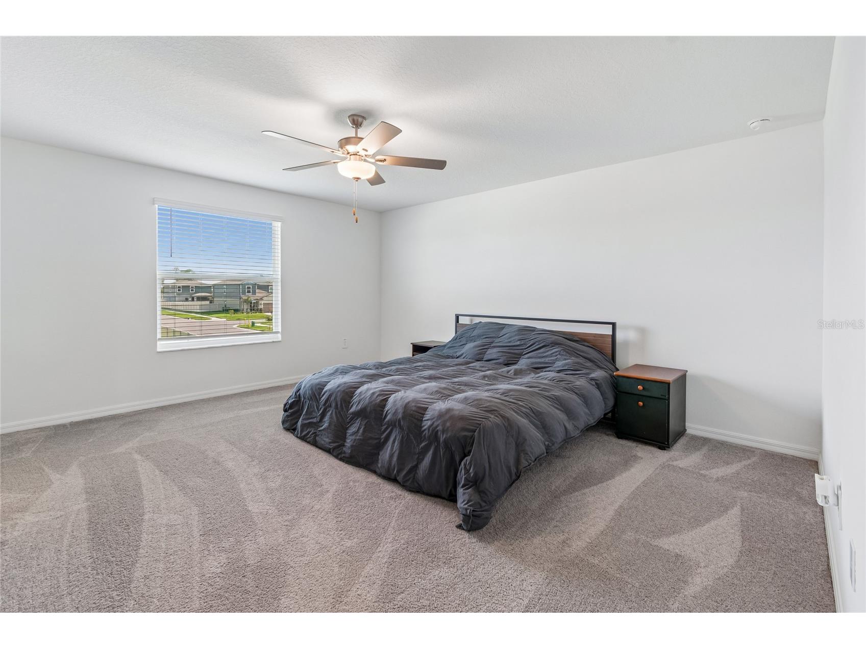 22203 Calisto Way Land O Lakes FL 34637 TB8513575 image23