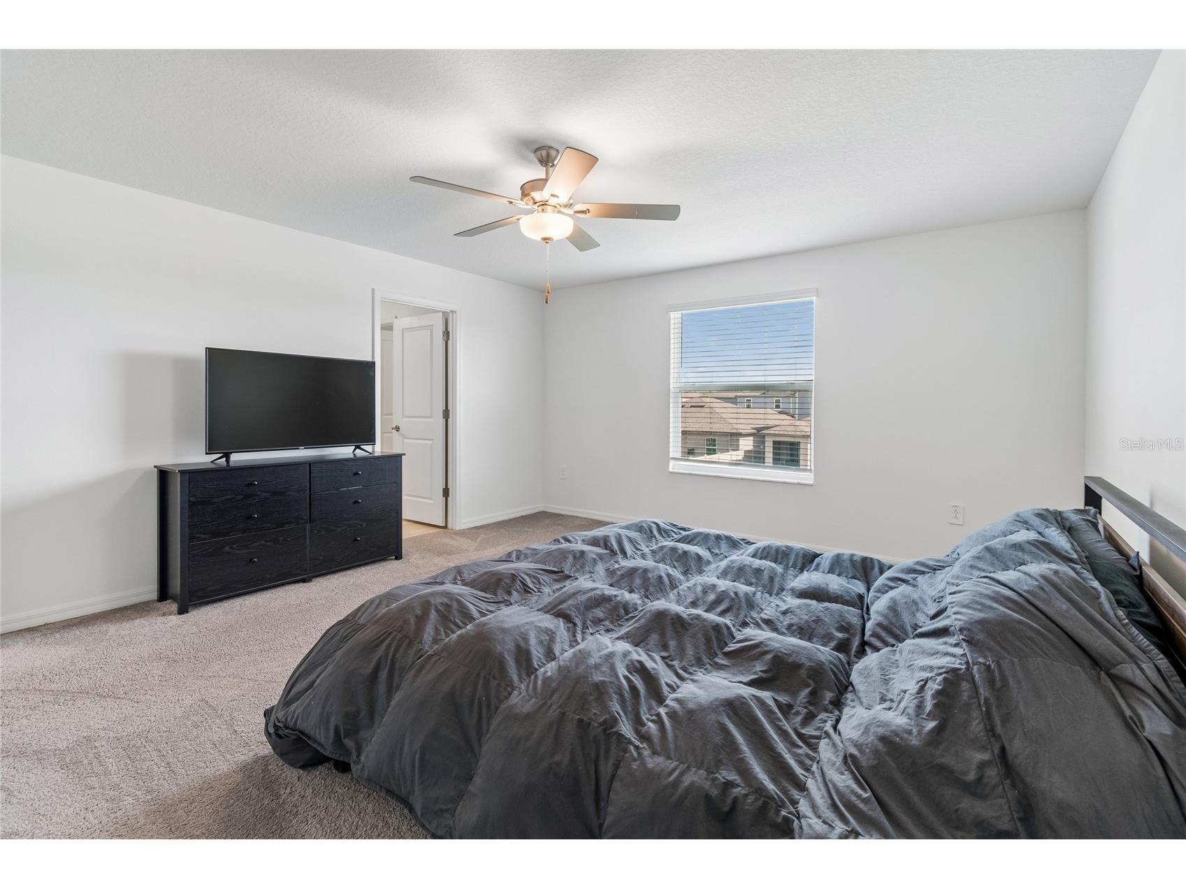 22203 Calisto Way Land O Lakes FL 34637 TB8513575 image24
