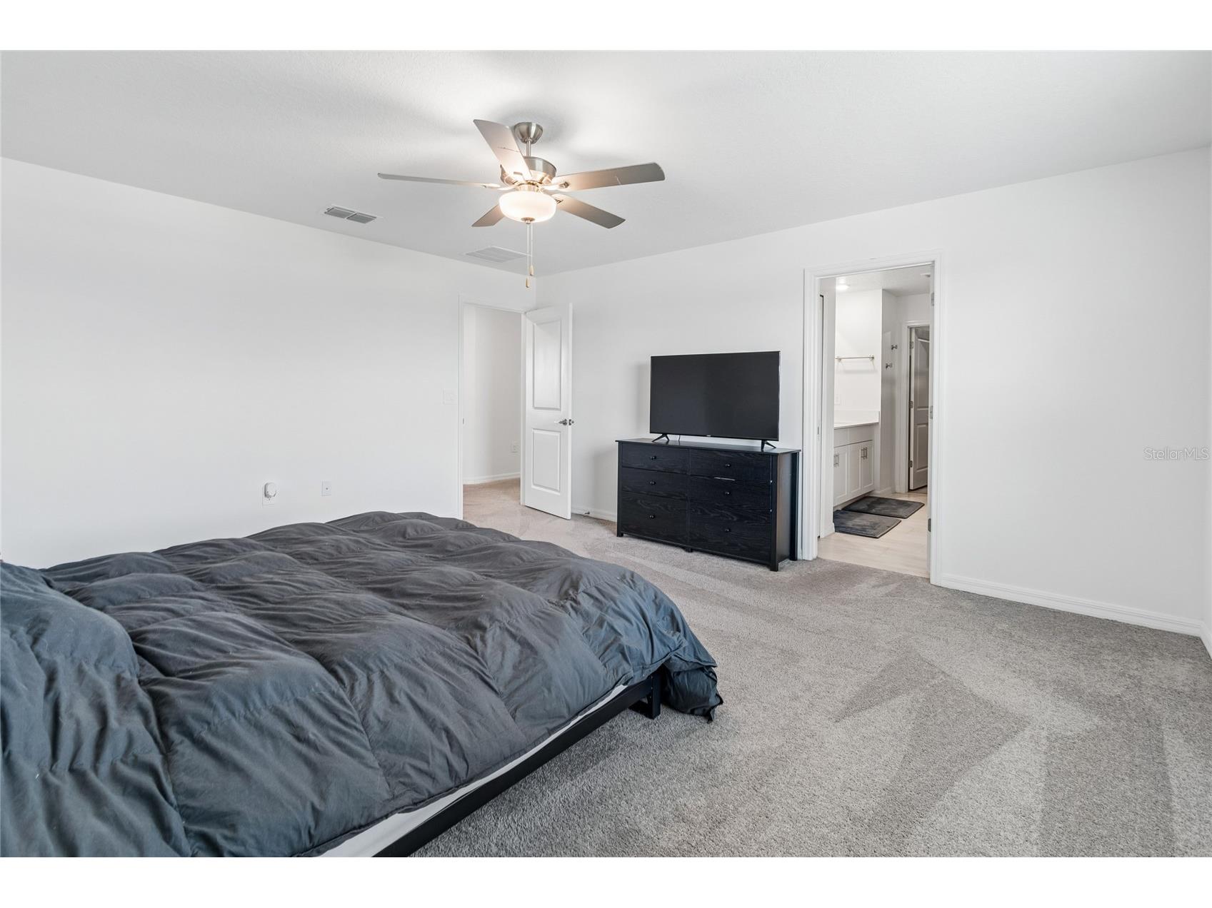 22203 Calisto Way Land O Lakes FL 34637 TB8513575 image25