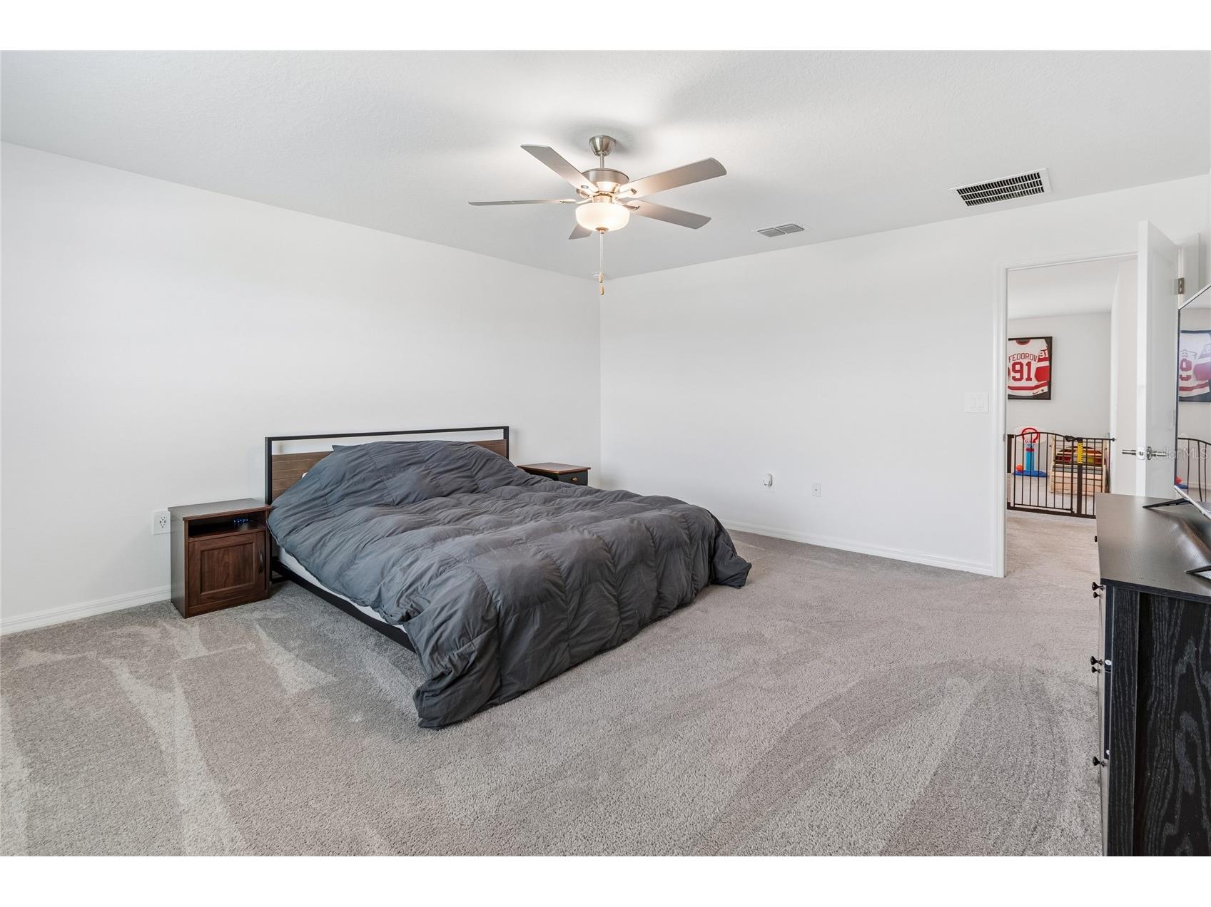 22203 Calisto Way Land O Lakes FL 34637 TB8513575 image26