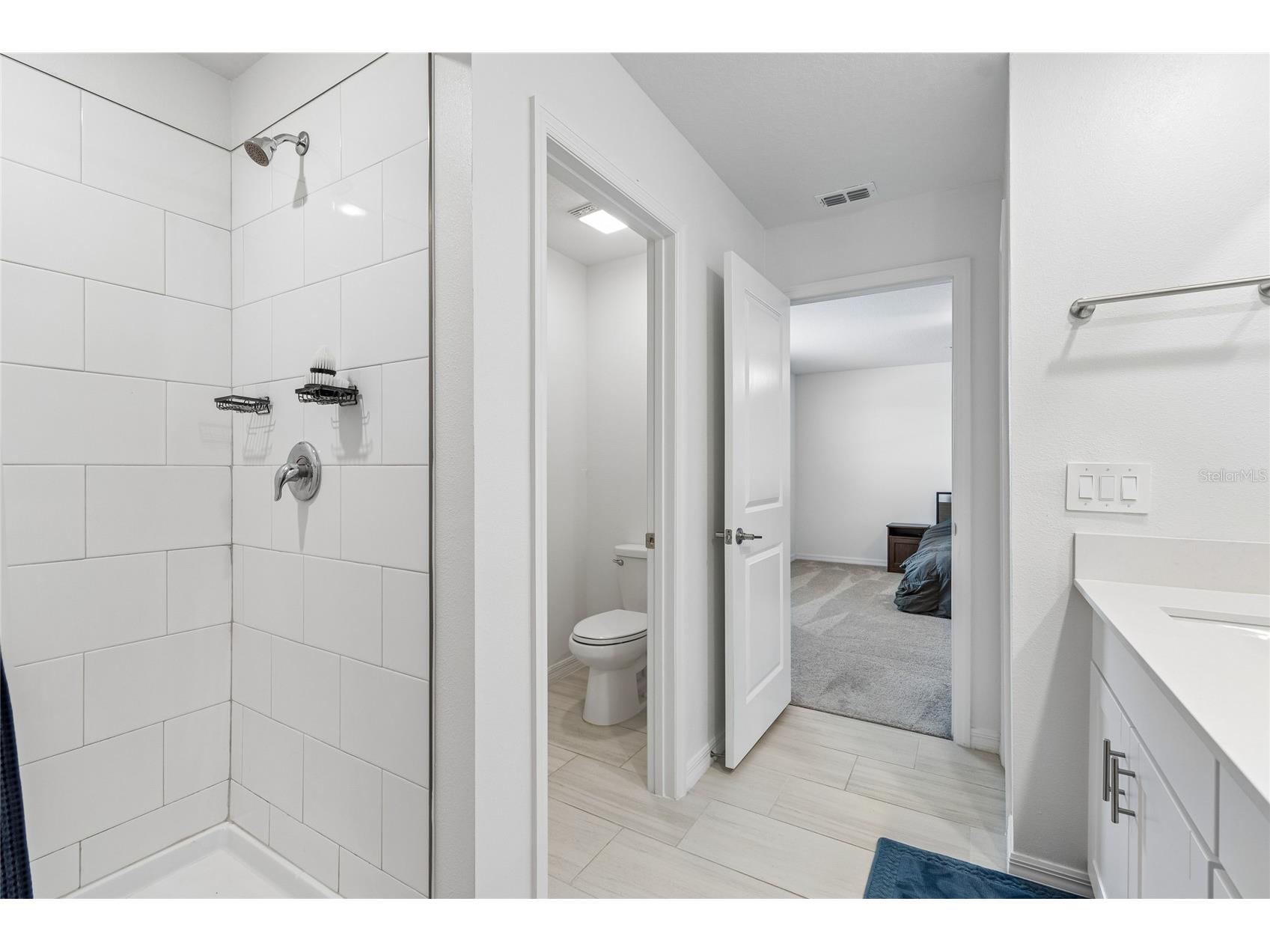 22203 Calisto Way Land O Lakes FL 34637 TB8513575 image29