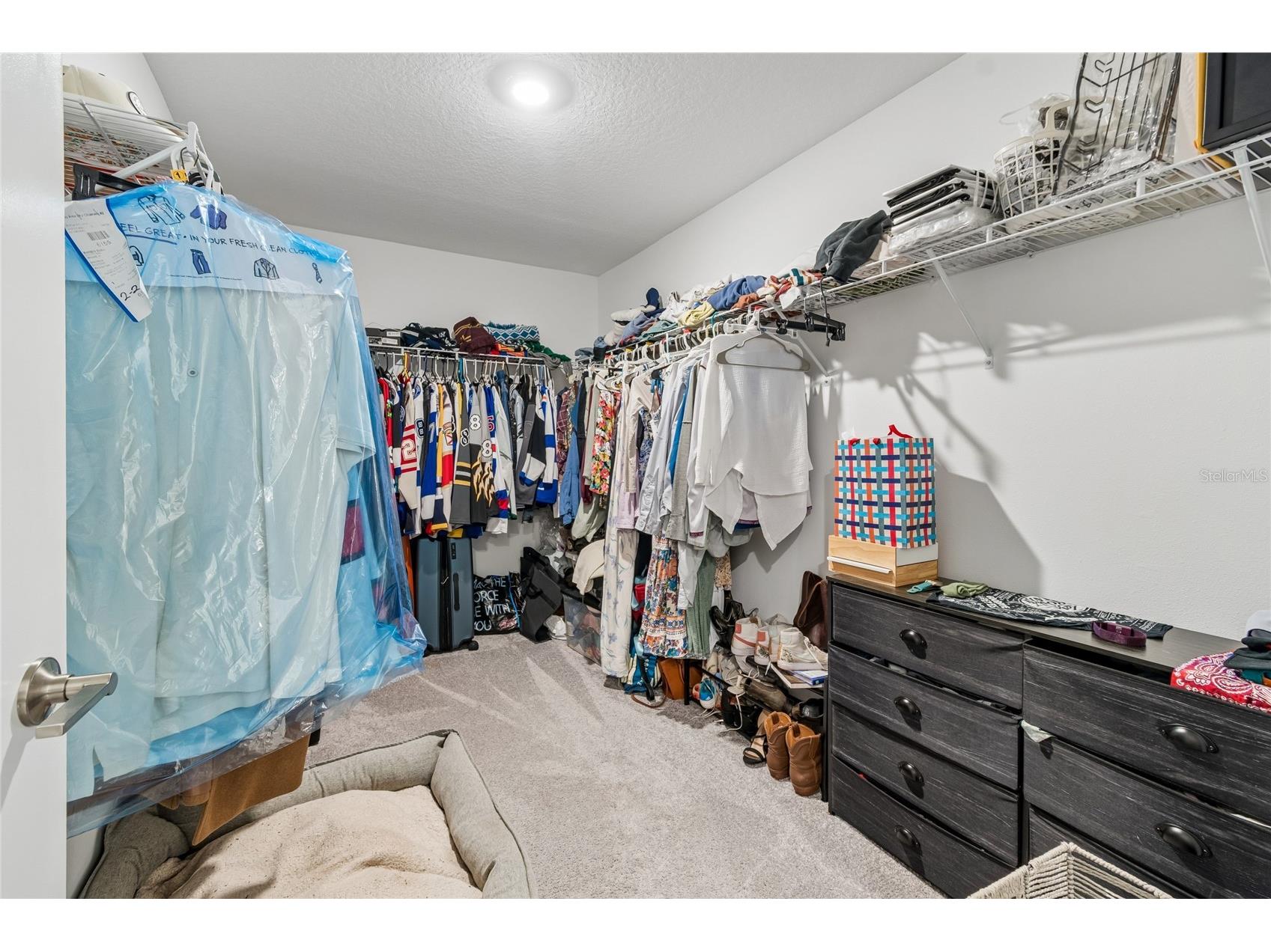 22203 Calisto Way Land O Lakes FL 34637 TB8513575 image30