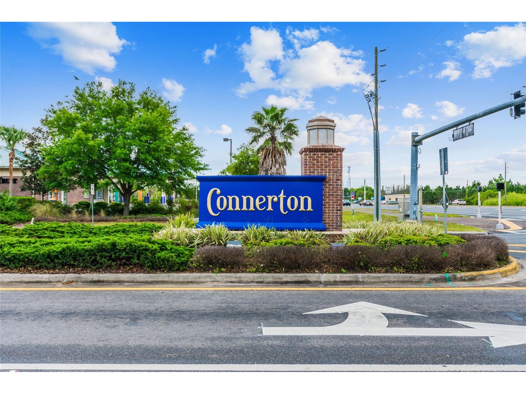 22203 Calisto Way Land O Lakes FL 34637 TB8513575 image59