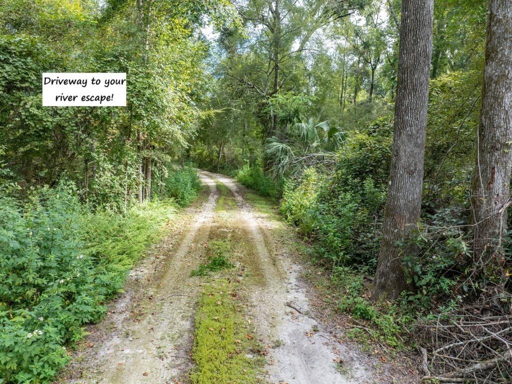 22205 N County Road 349 O'Brien FL 32071 - SUWANNEE RIVER GC533993 image51