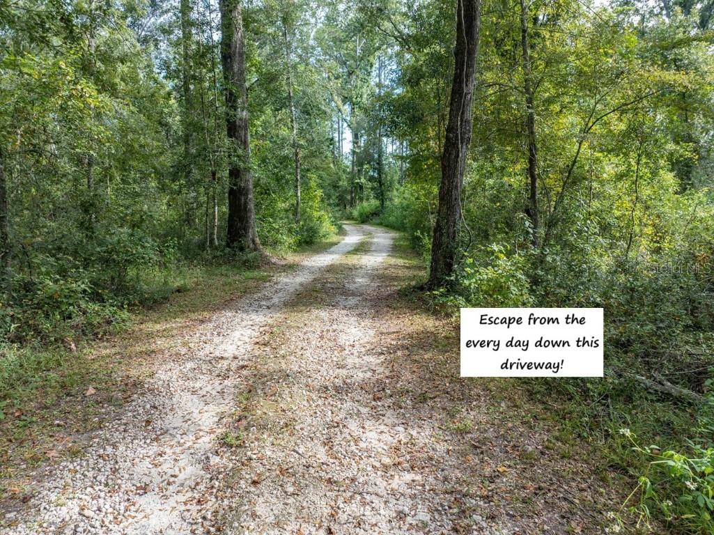 22205 N County Road 349 O'Brien FL 32071 - SUWANNEE RIVER GC533993 image52