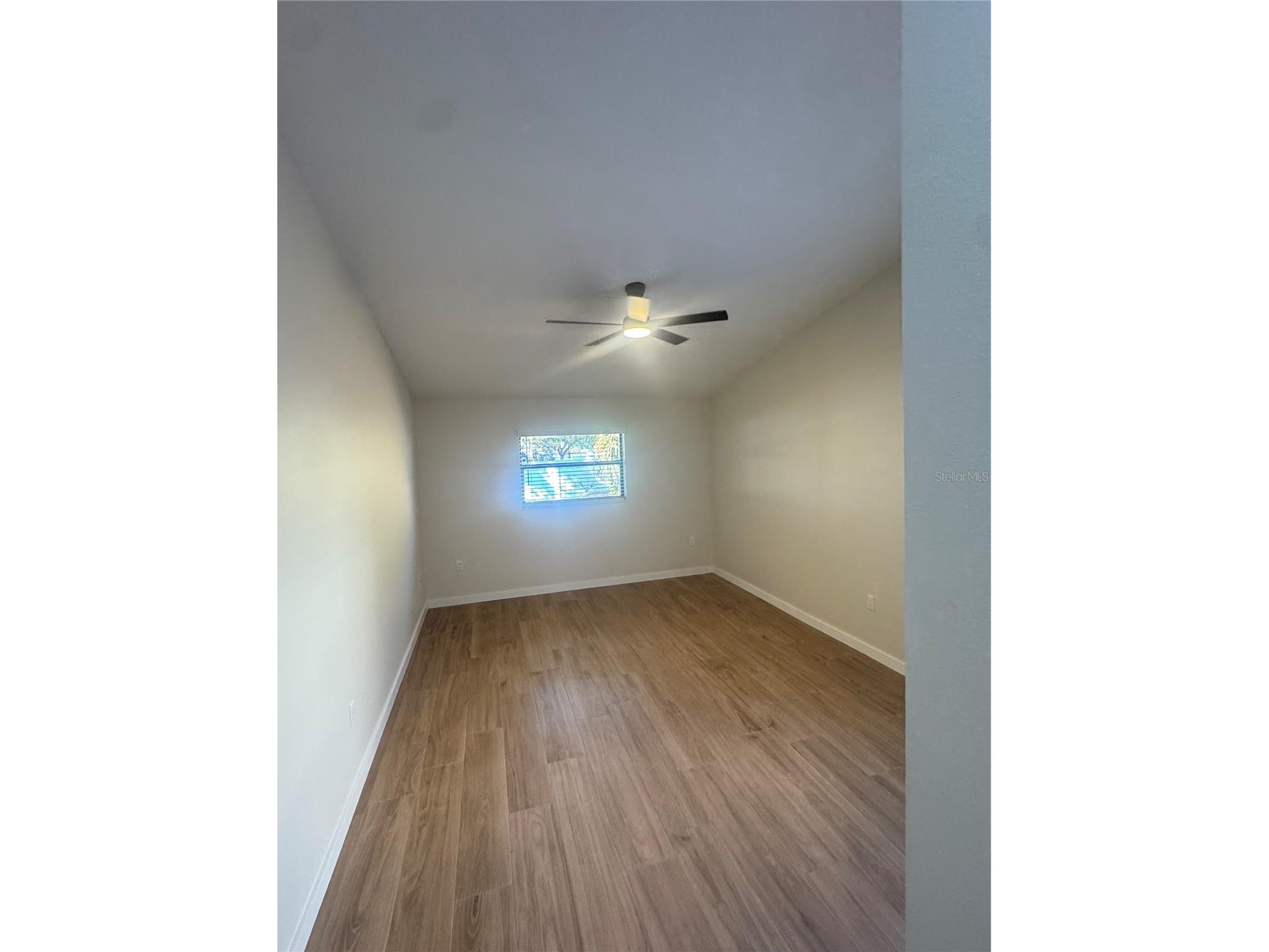 2221 Cimarron Terrace Palm Harbor FL 34683 TB8476424 image11