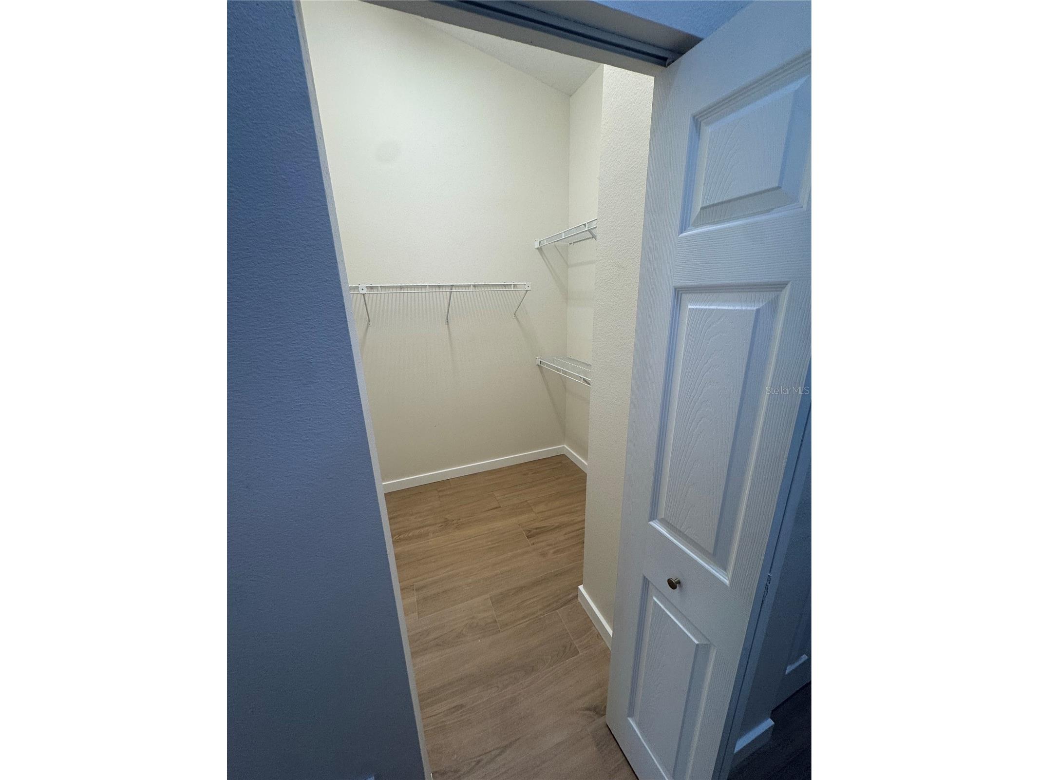 2221 Cimarron Terrace Palm Harbor FL 34683 TB8476424 image14