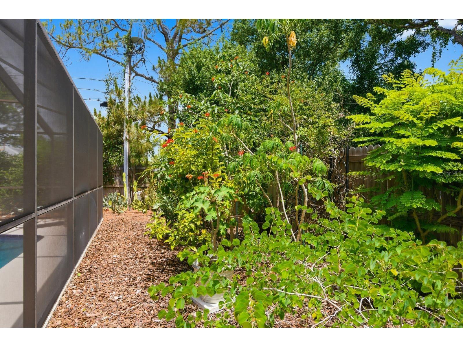 2221 Coronada Way S Saint Petersburg FL 33712 TB8501544 image32