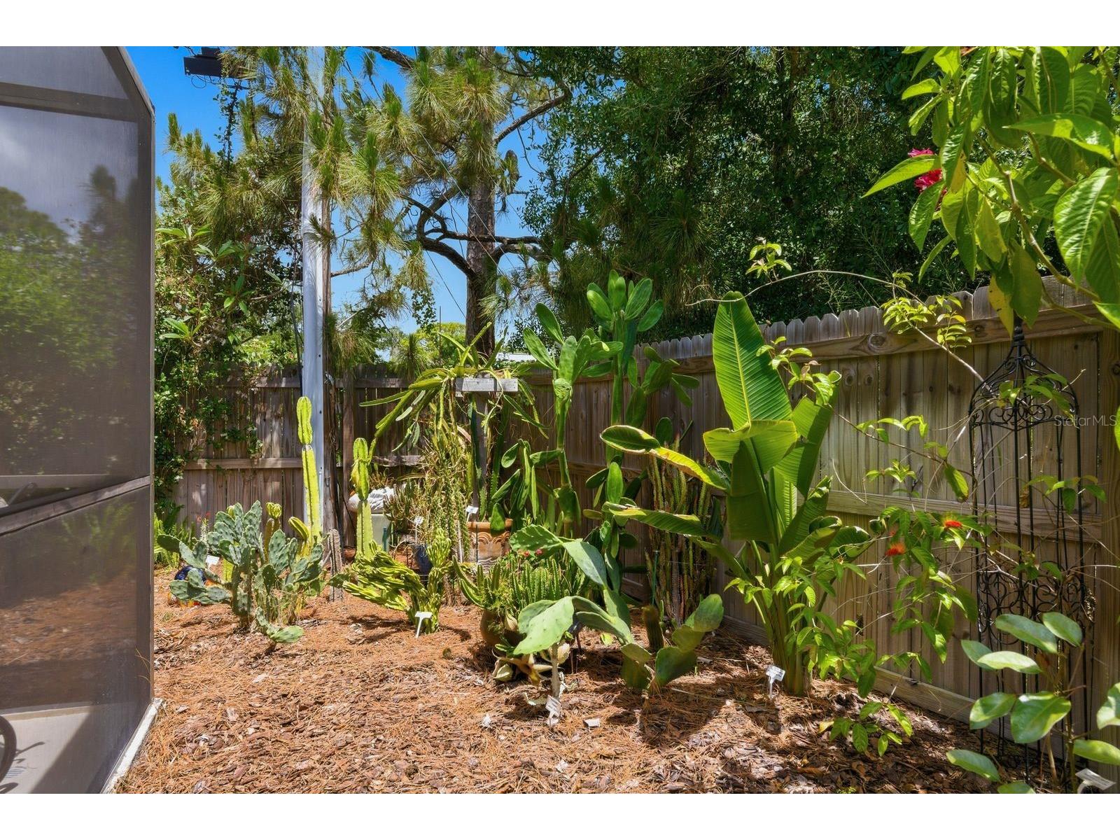 2221 Coronada Way S Saint Petersburg FL 33712 TB8501544 image34