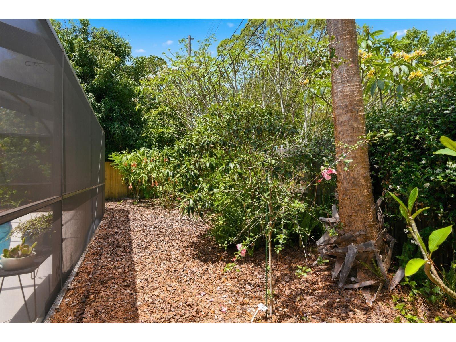 2221 Coronada Way S Saint Petersburg FL 33712 TB8501544 image35