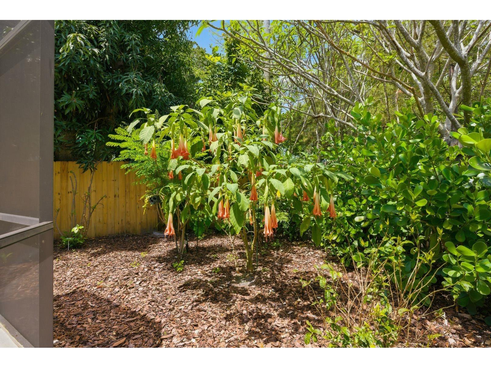 2221 Coronada Way S Saint Petersburg FL 33712 TB8501544 image36