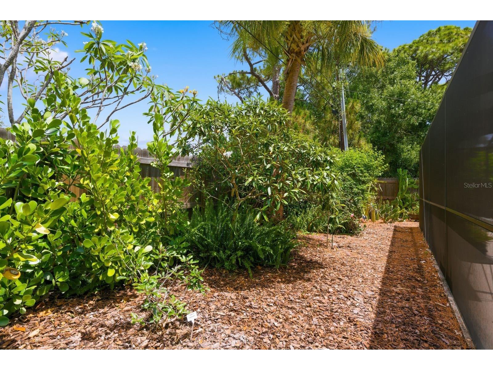 2221 Coronada Way S Saint Petersburg FL 33712 TB8501544 image37