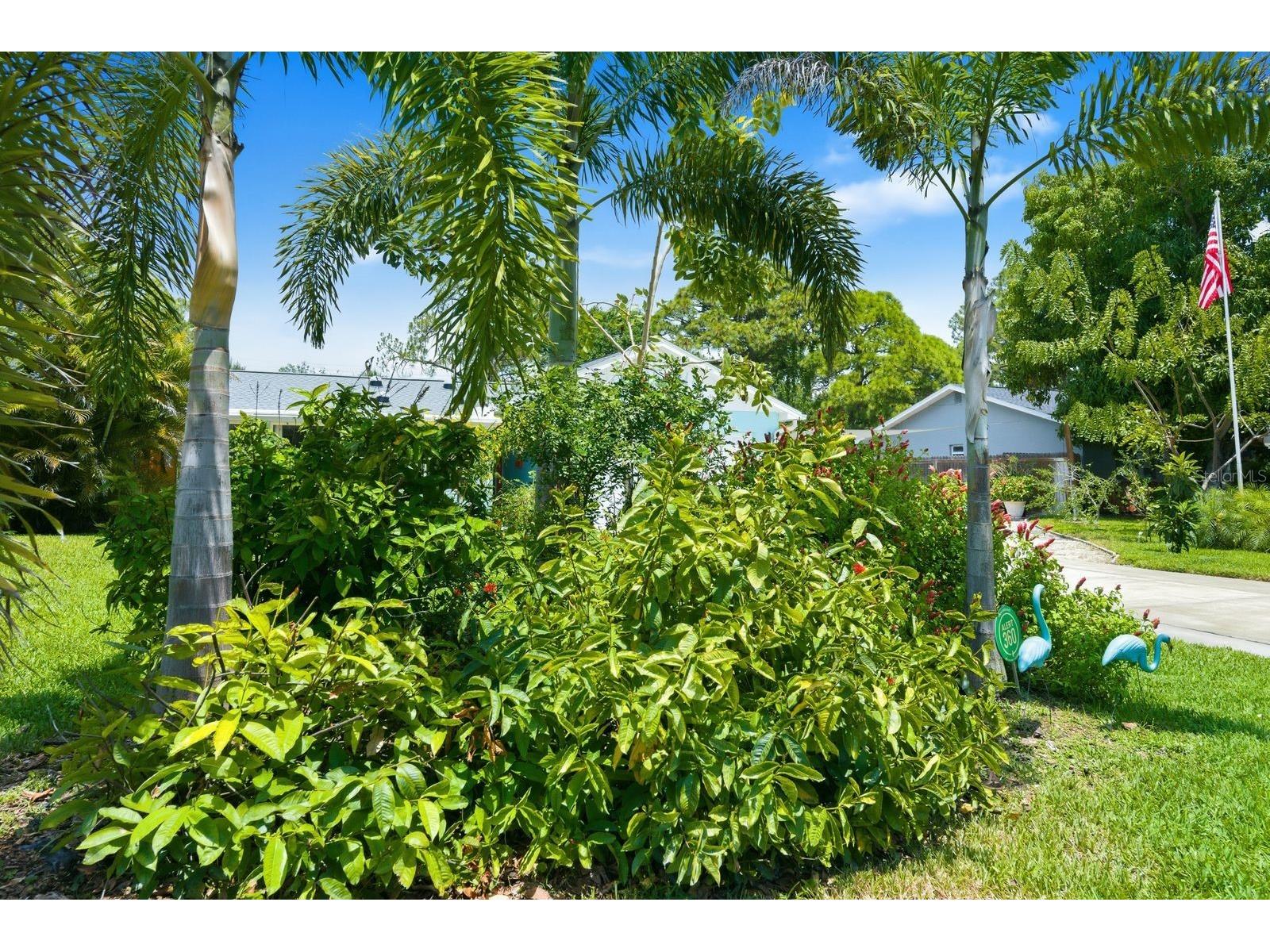 2221 Coronada Way S Saint Petersburg FL 33712 TB8501544 image43