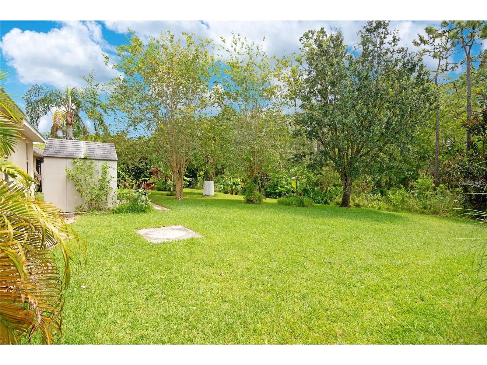 2221 Cypress Trace Circle Orlando FL 32825 O6396607 image32