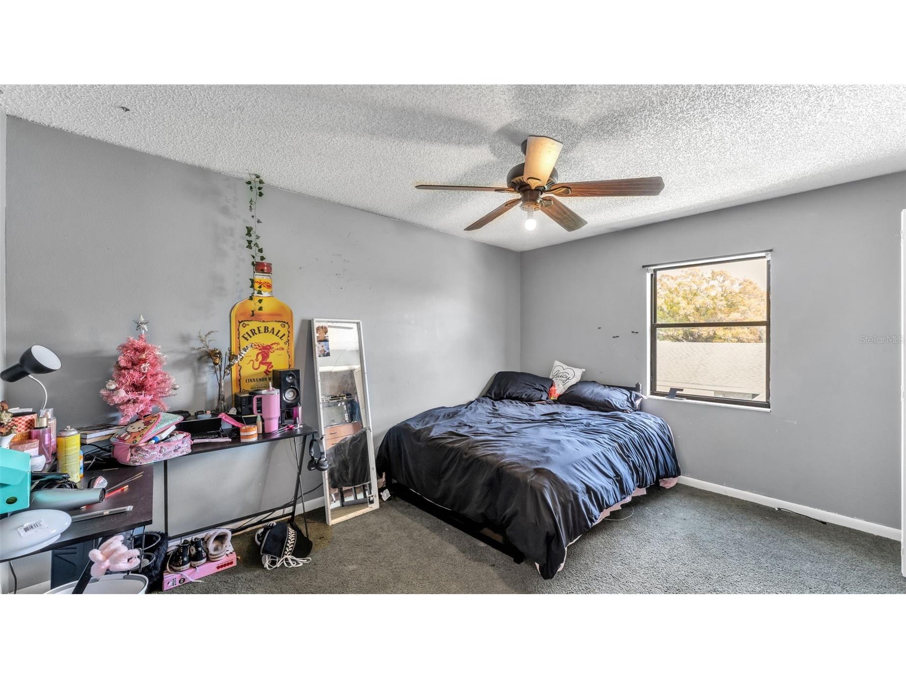 2221 Eastmeadows Road Lakeland FL 33812 L4960321 image34