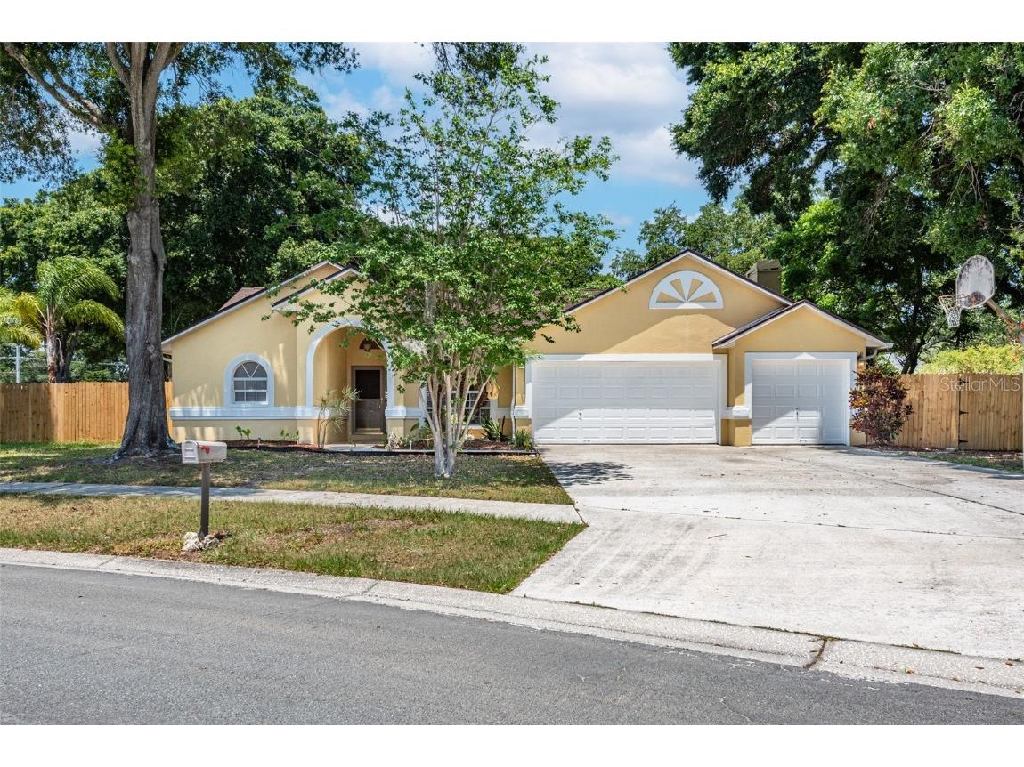 2221 Glen Mist Drive Valrico FL 33594 T3524966 image1