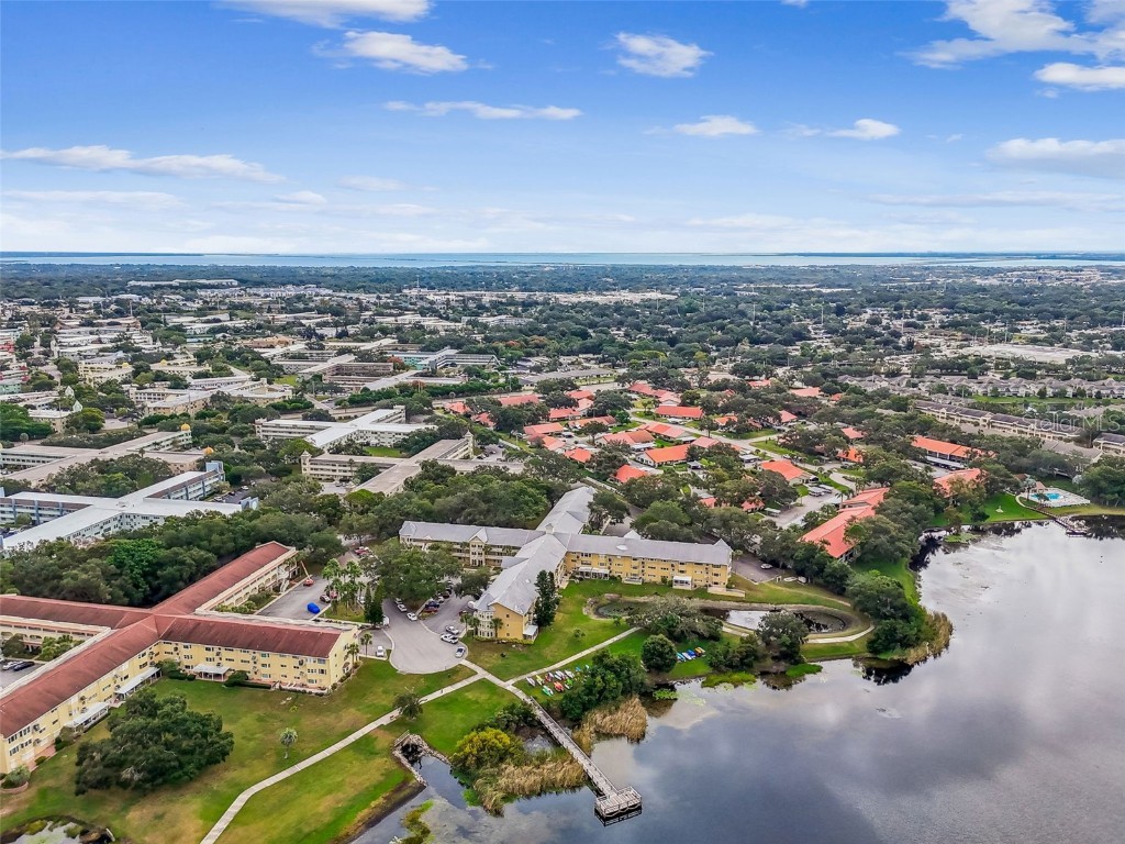 2221 Norwegian Drive #41 Clearwater FL 33763 - LAKE ARBOR TB8443799 image62