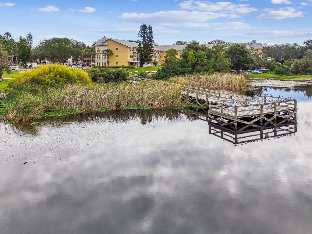 2221 Norwegian Drive #41 Clearwater FL 33763 - LAKE ARBOR TB8443799 image63