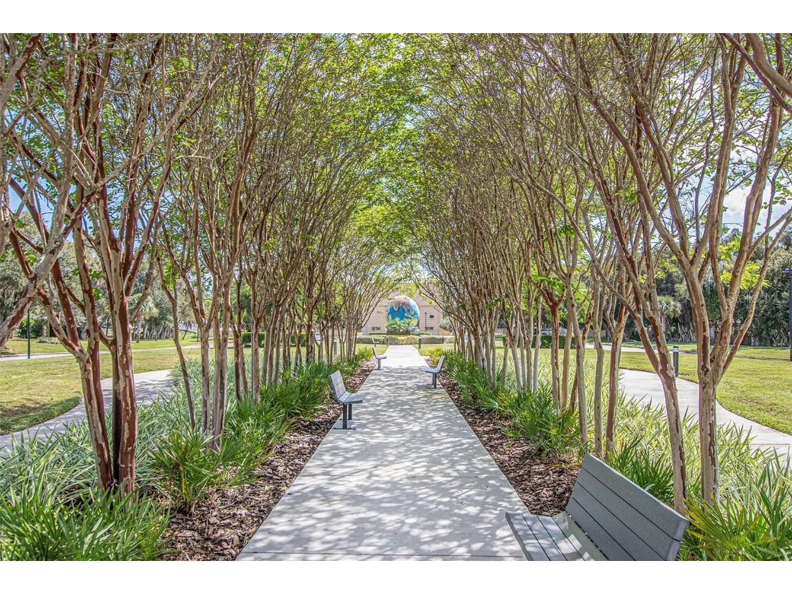 2221 Norwegian Drive #41 Clearwater FL 33763 - LAKE ARBOR TB8443799 image66