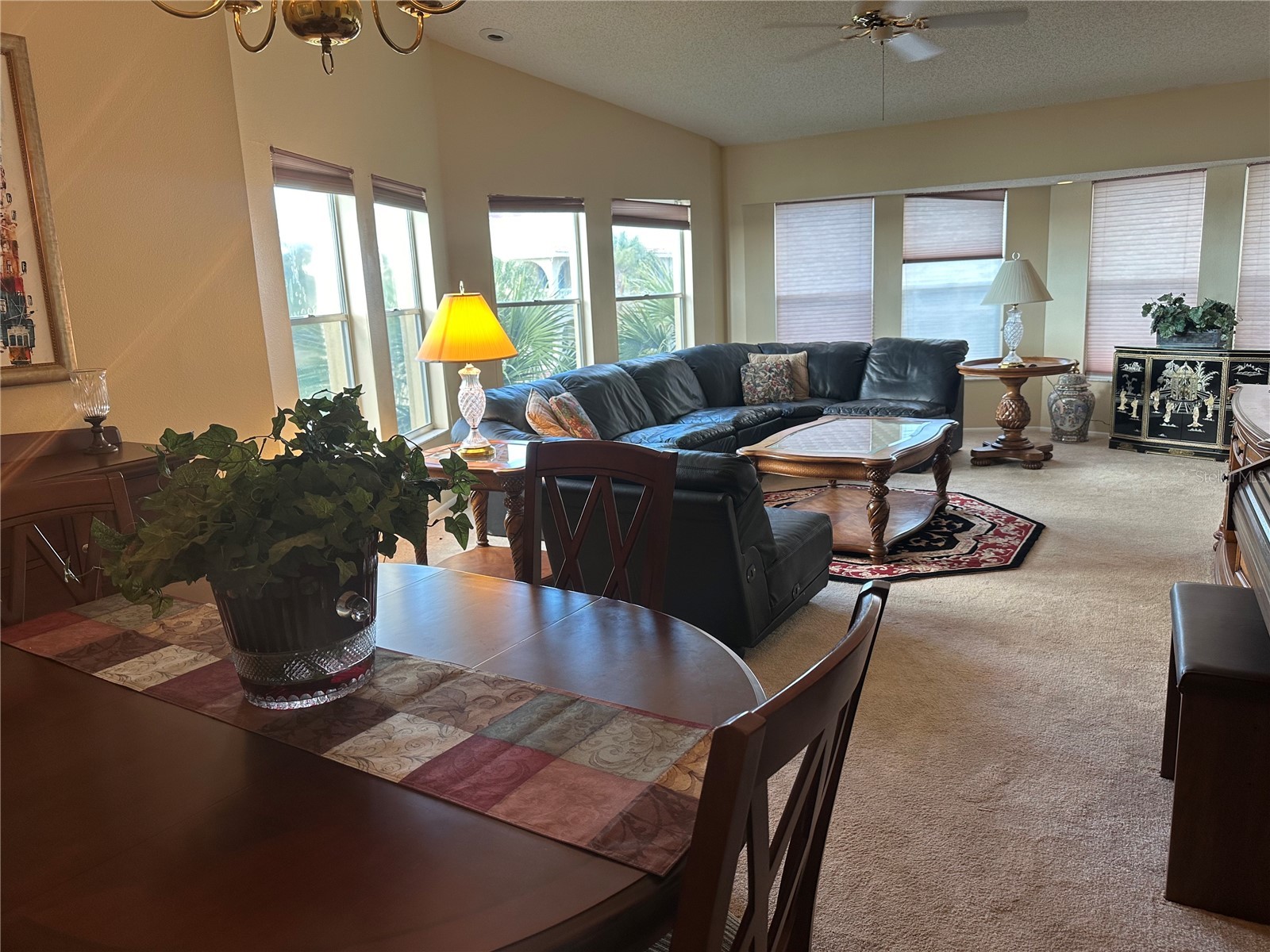 2221 Norwegian Drive #61 Clearwater FL 33763 TB8481380 image13