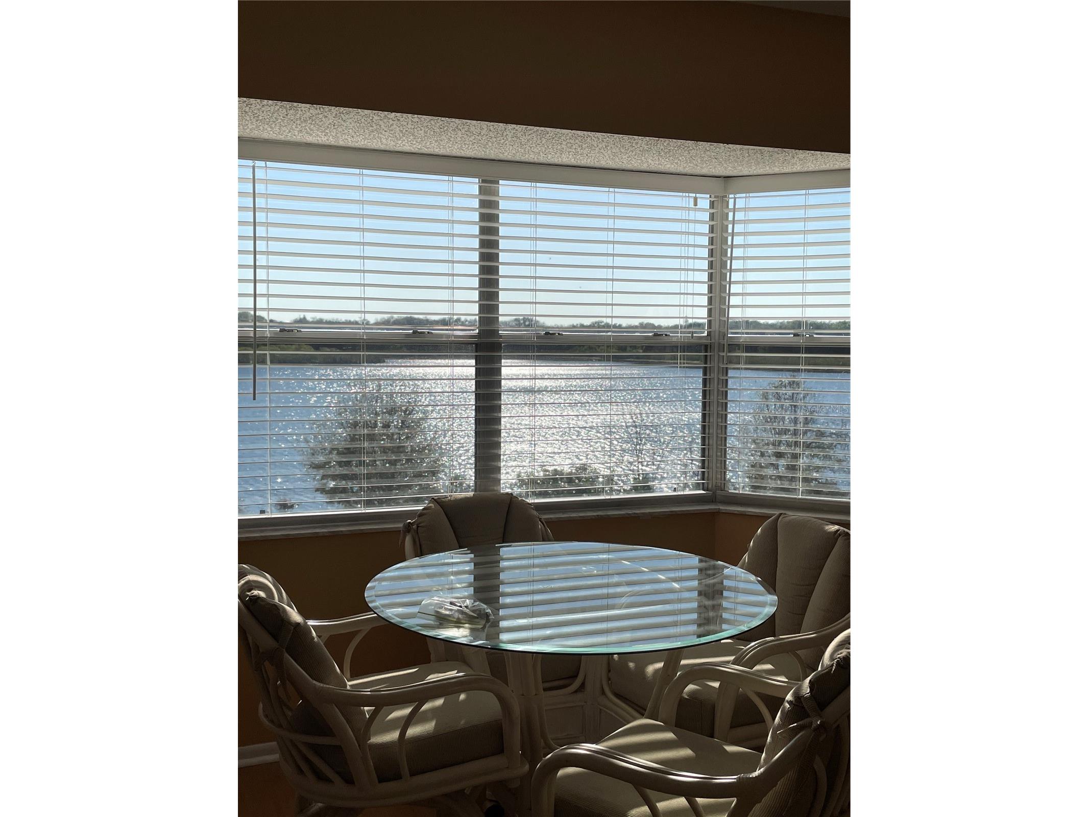 2221 Norwegian Drive #61 Clearwater FL 33763 TB8481380 image14