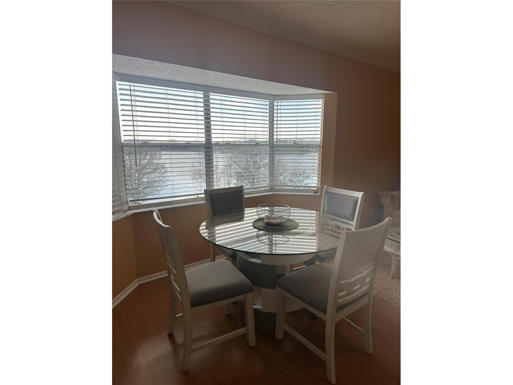2221 Norwegian Drive #61 Clearwater FL 33763 TB8481380 image15