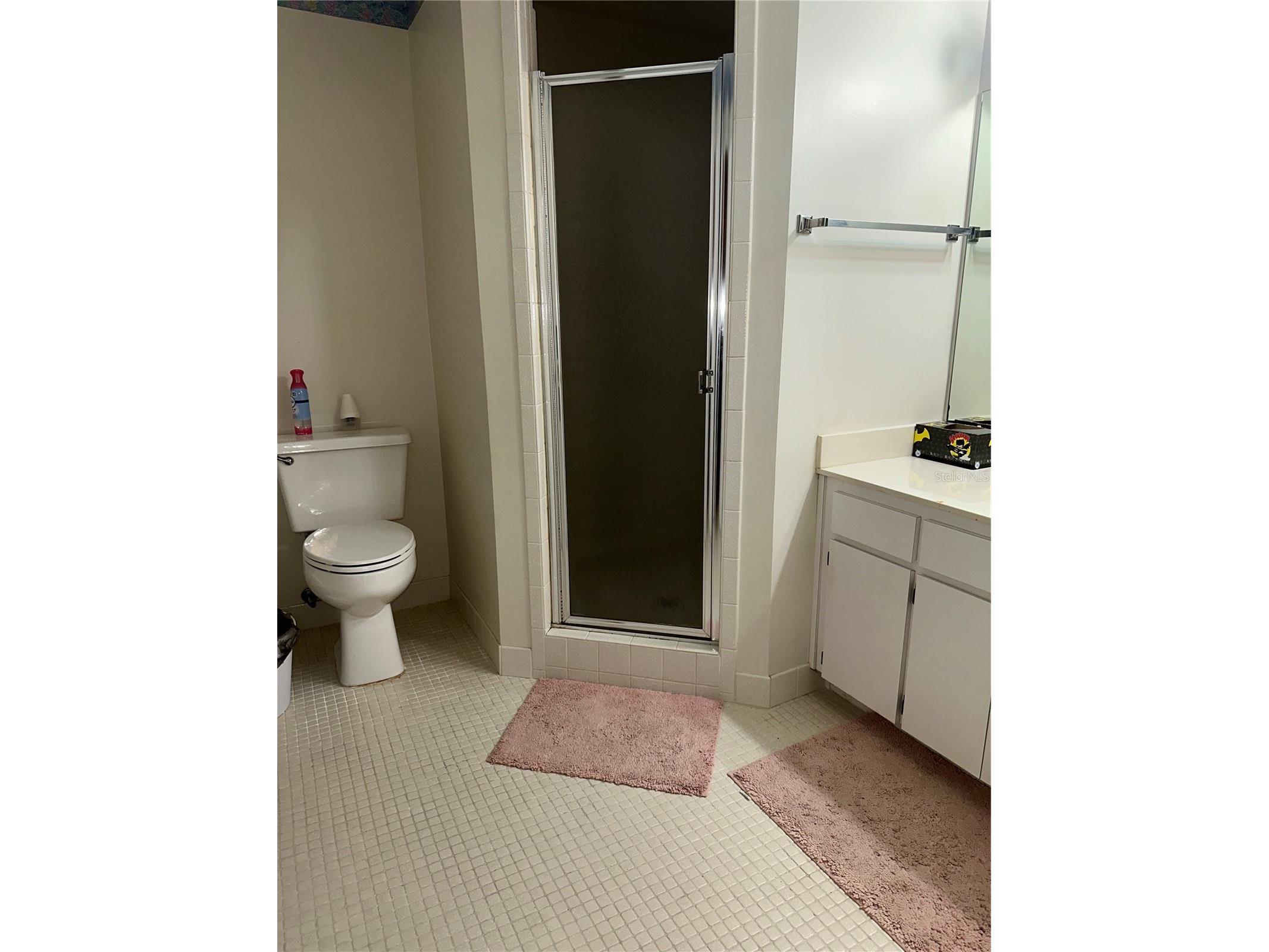 2221 Norwegian Drive #61 Clearwater FL 33763 TB8481380 image31
