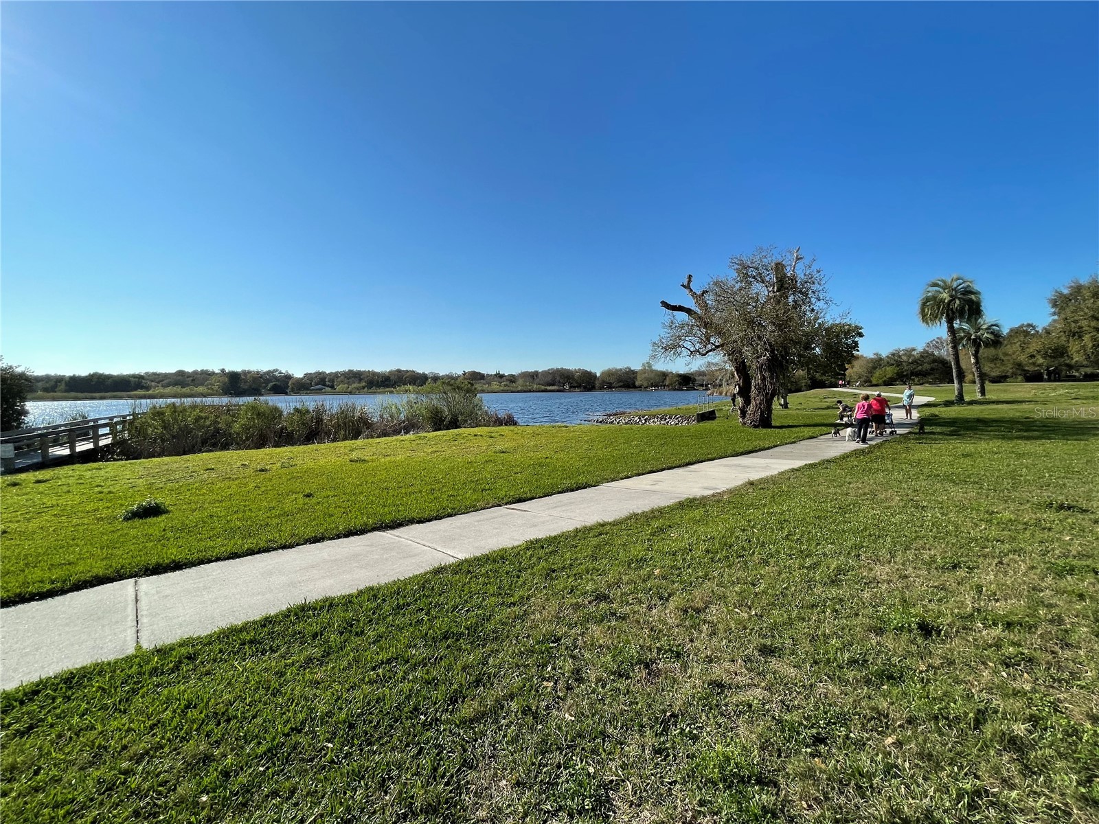 2221 Norwegian Drive #61 Clearwater FL 33763 TB8481380 image33