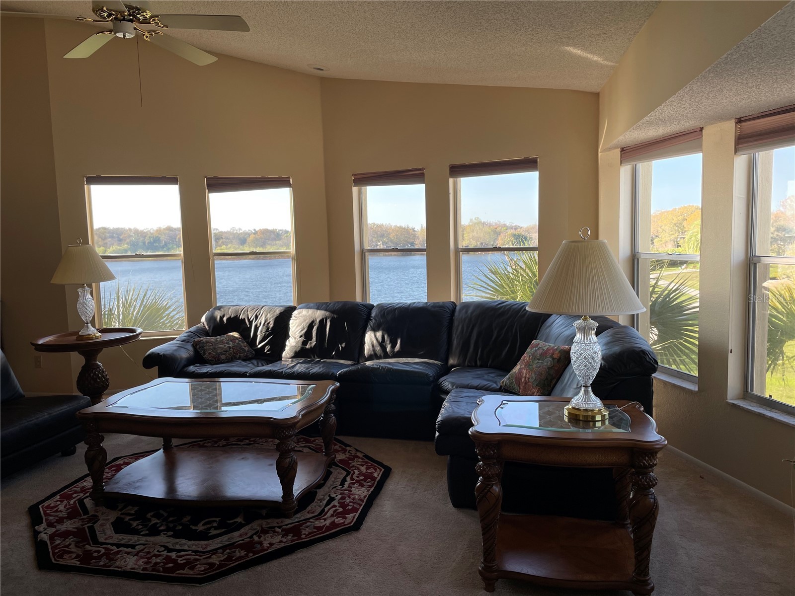 2221 Norwegian Drive #61 Clearwater FL 33763 TB8481380 image5