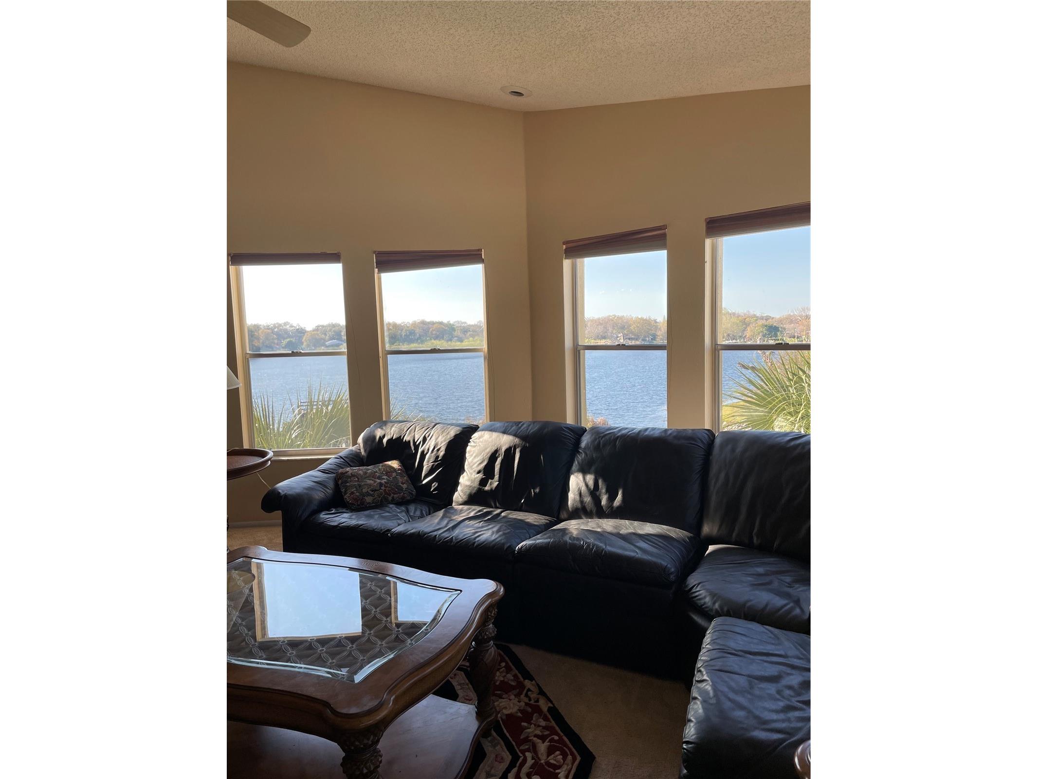 2221 Norwegian Drive #61 Clearwater FL 33763 TB8481380 image8