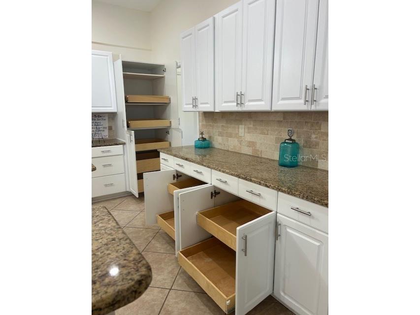 2221 Platinum Drive Sun City Center FL 33573 TB8459863 image15