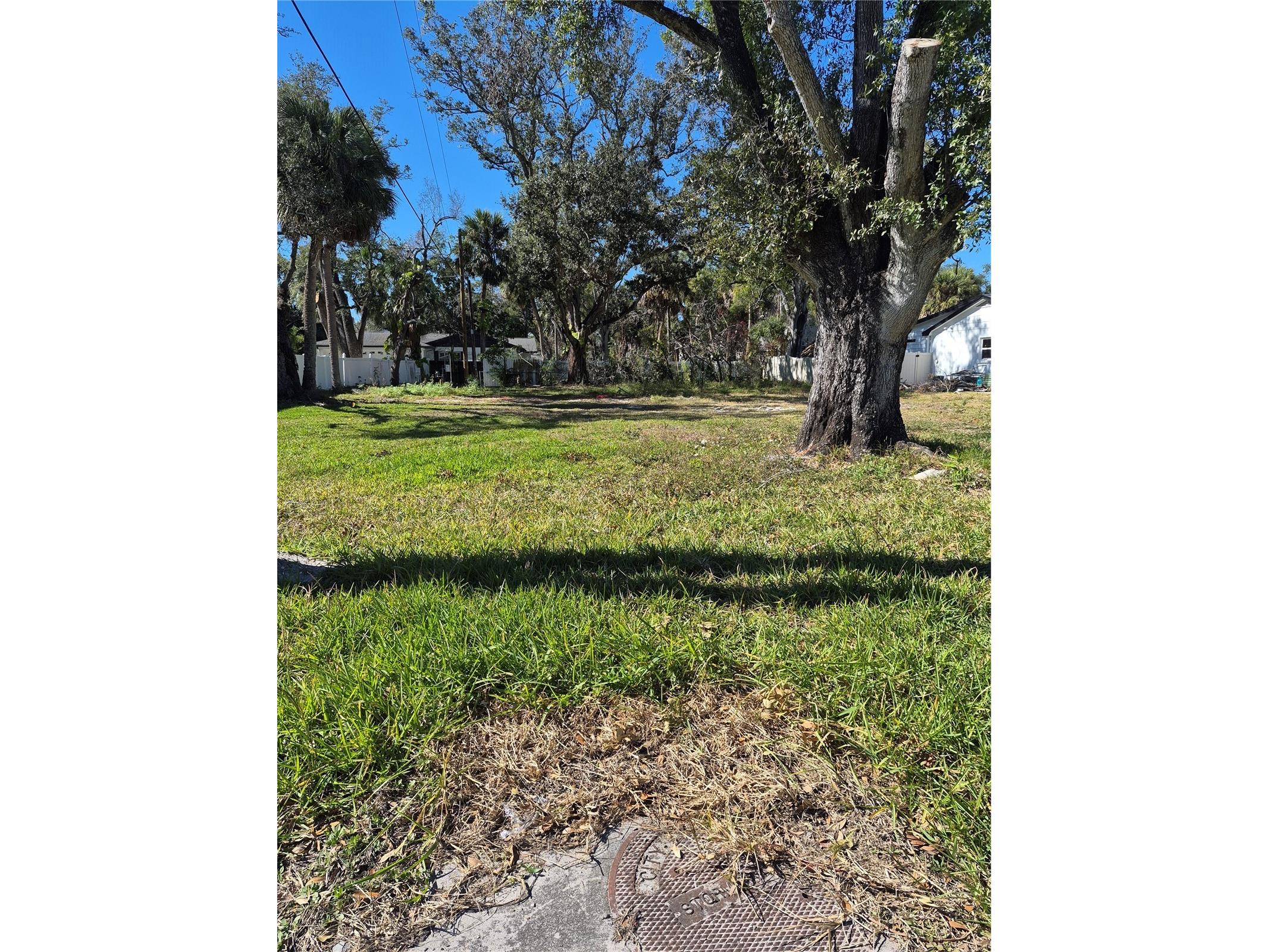 2221 S Occident Street Tampa FL 33629 TB8466191 image3