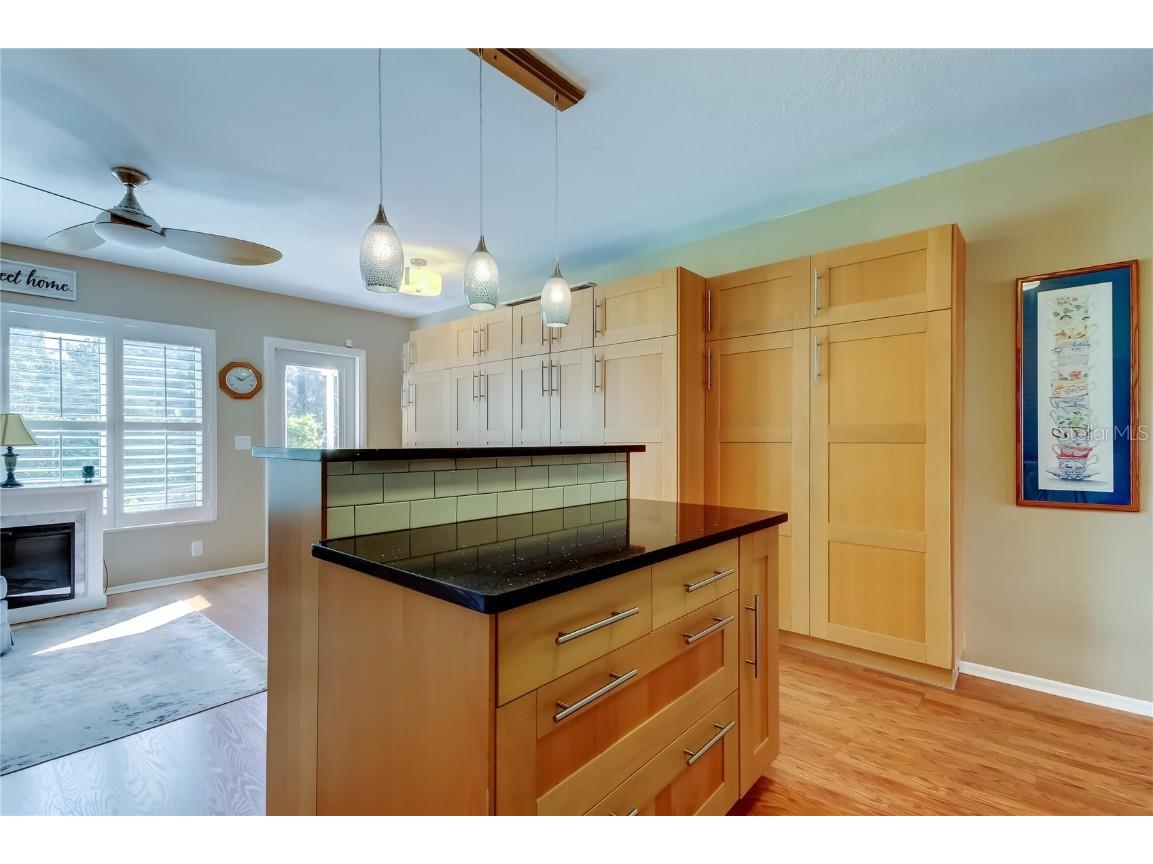 2221 Swedish Drive #3 Clearwater FL 33763 TB8418597 image14