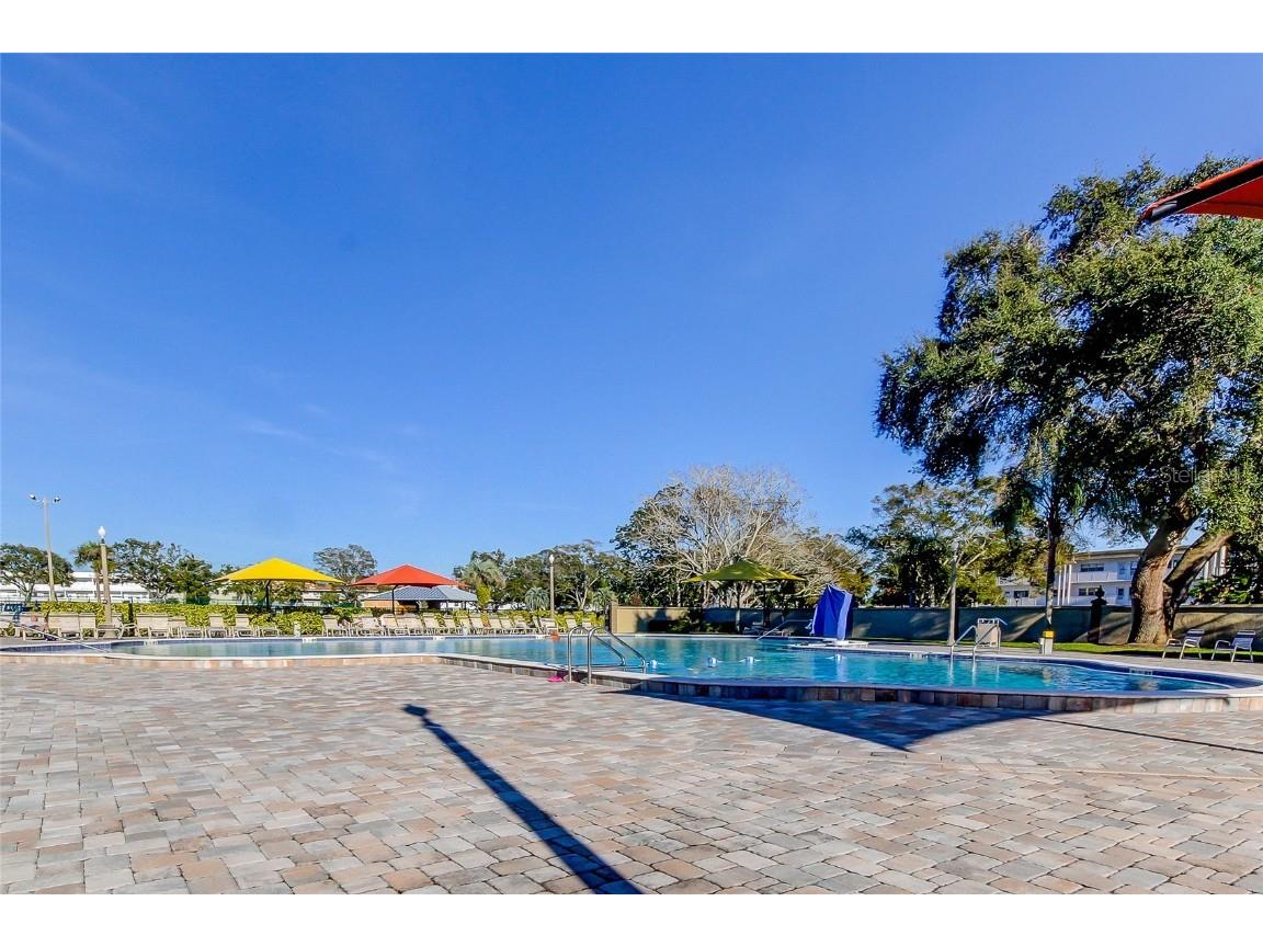 2221 Swedish Drive #3 Clearwater FL 33763 TB8418597 image48