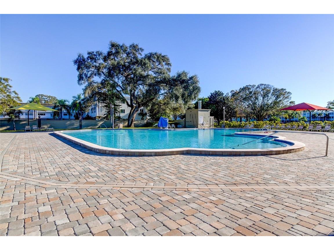 2221 Swedish Drive #3 Clearwater FL 33763 TB8418597 image49